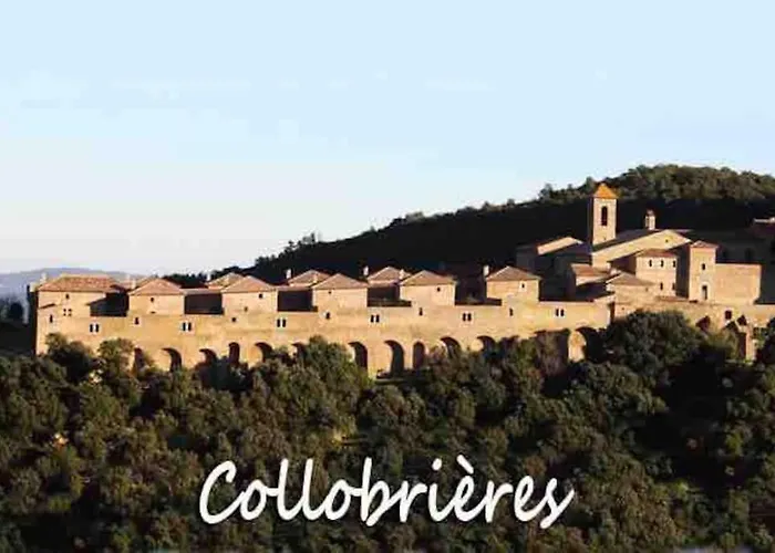 T3 Neuf Centre Village Collobrieres