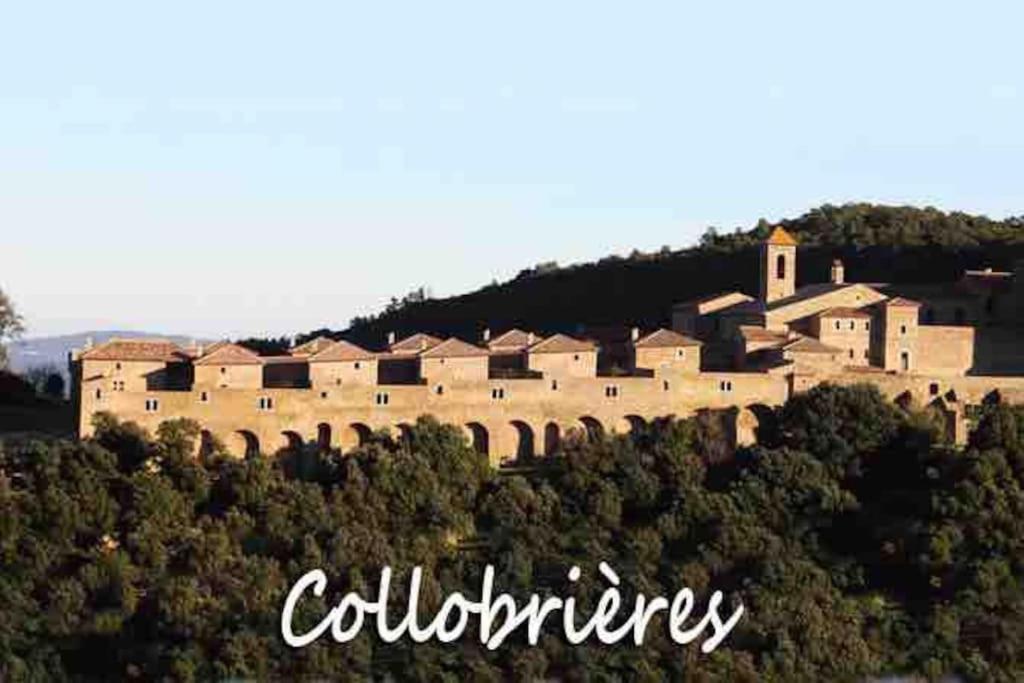 T3 Neuf Centre Village Collobrieres